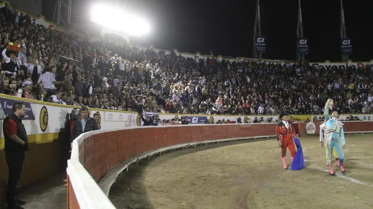 FOTO TOROS